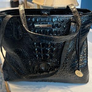 Black Brahmin purse